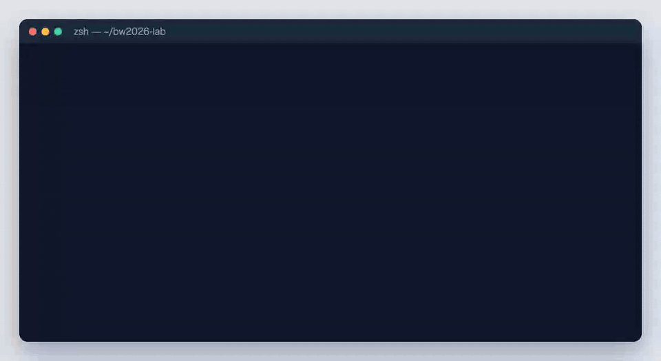 cf CLI のバージョン確認、自然文でのコマンド検索、wrangler の dry-run で非圧縮のバンドルサイズを確かめる手順